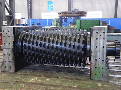 Double-Geared Roller Crusher